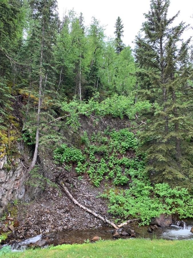 Whitetail Creek Camping Resort Lead Eksteriør billede